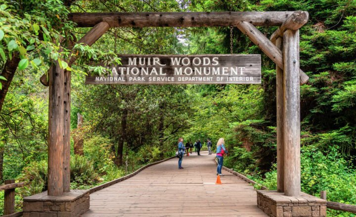 National Park Travel Guide: What to Know Before You Go